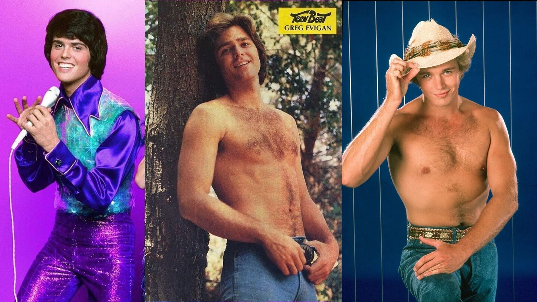 Collage of three celebrity crushes from my youth - Donny Osmond, Greg Evigan and John Schneider